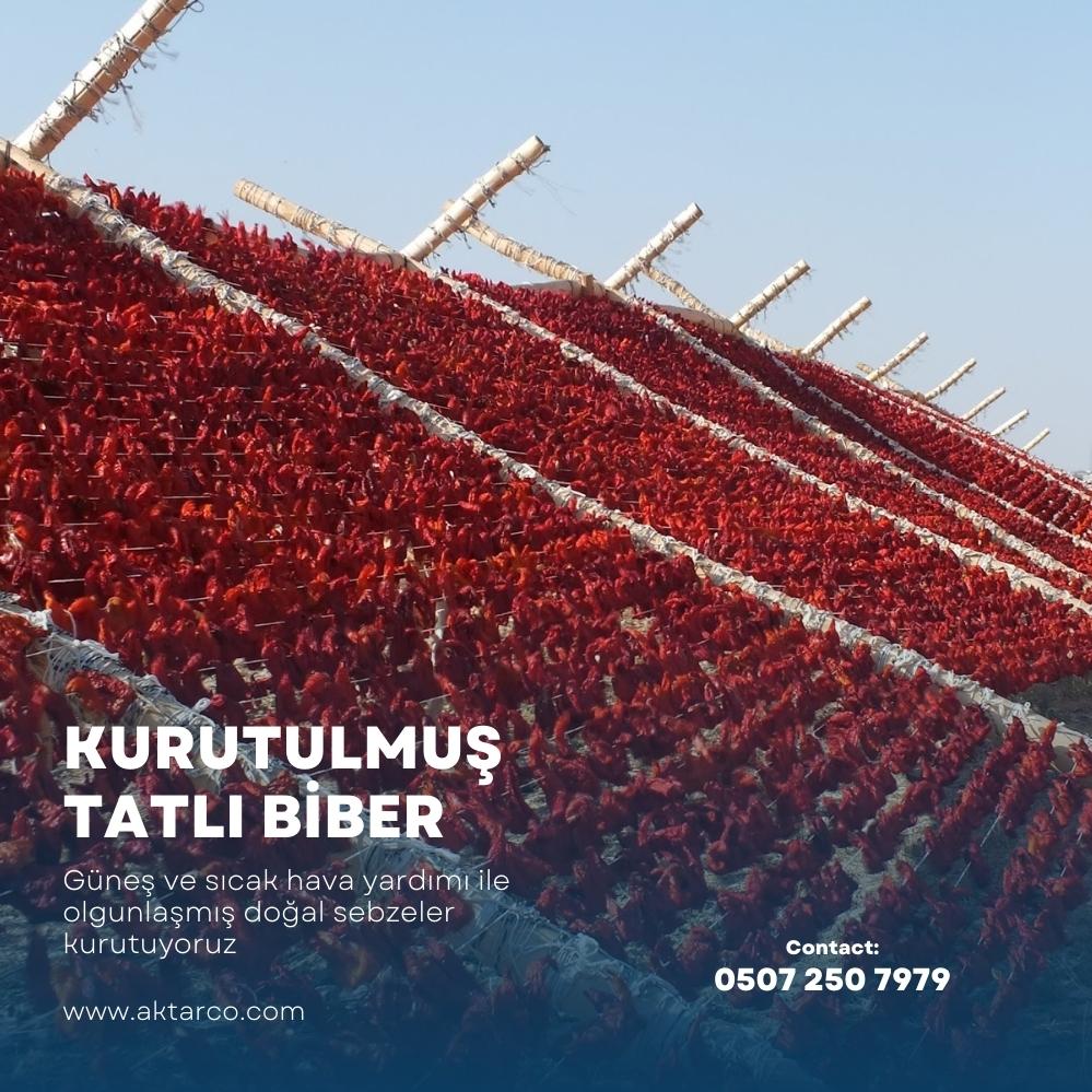 Kurutulmuş Dolmalık Tatlı Biber 100 Adet | Kurutma Borsası